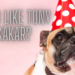 Why I like Tony Kakkar