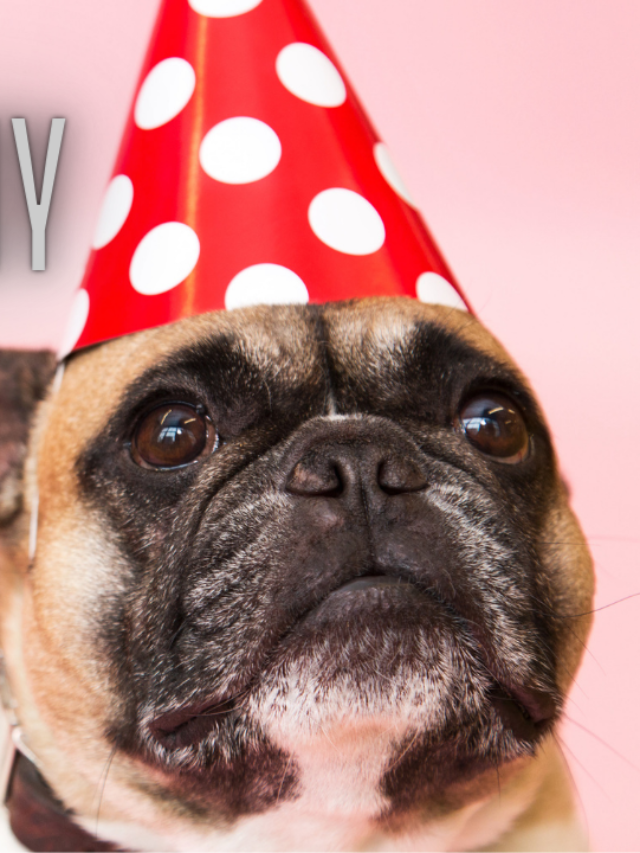 Why I like Tony Kakkar